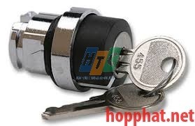 SELEC TO R SWITCH HEAD KEYLOCK 2 POSITIO - ZB4BG4